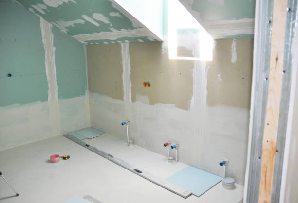 Lockport, IL Mold Removal Company