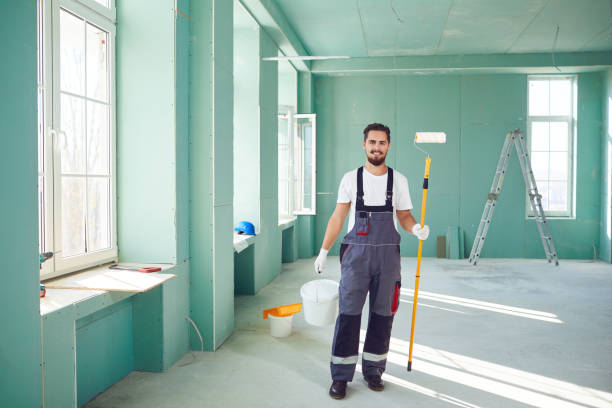 Best Mold Damage Restoration  in Lockport, IL