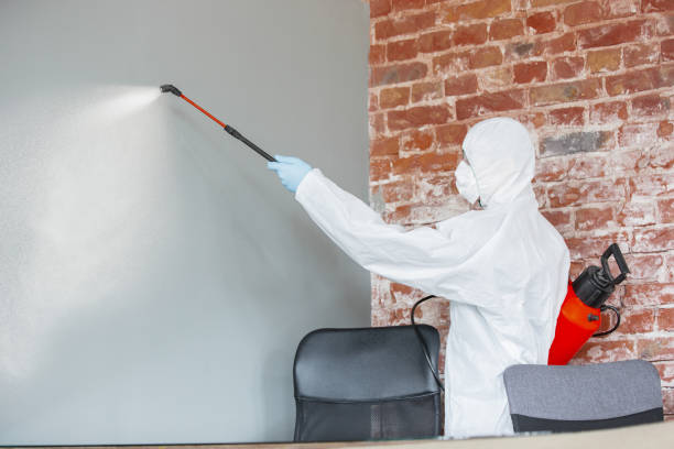 Best Commercial Mold Inspection  in Lockport, IL