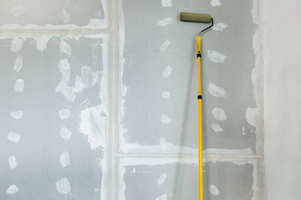 Best Mold Odor Removal Services  in Lockport, IL