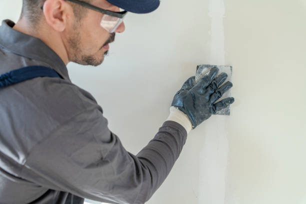 Best HVAC Mold Inspection and Cleaning  in Lockport, IL