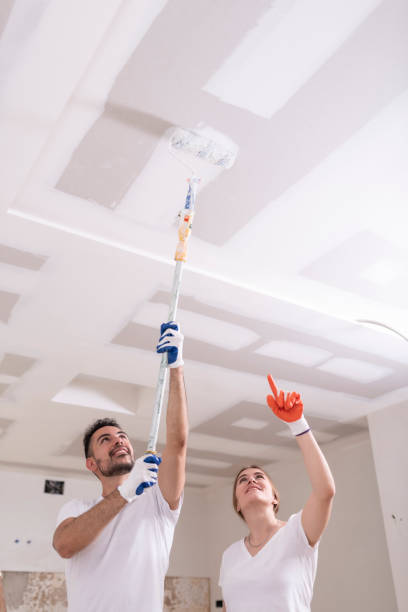 Best Basement Mold Removal  in Lockport, IL