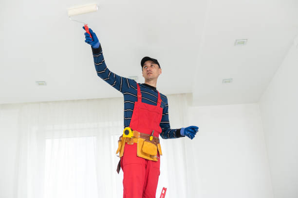 Best Mold Removal for HVAC Installations  in Lockport, IL