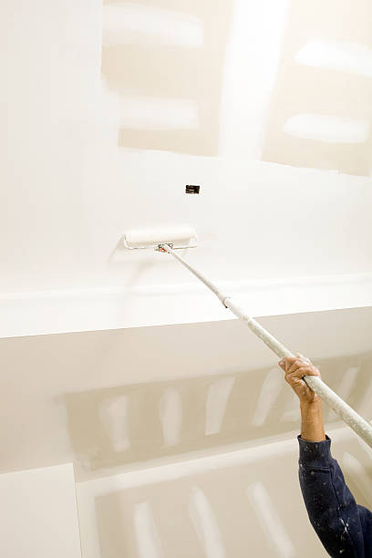 Best Emergency Mold Remediation  in Lockport, IL