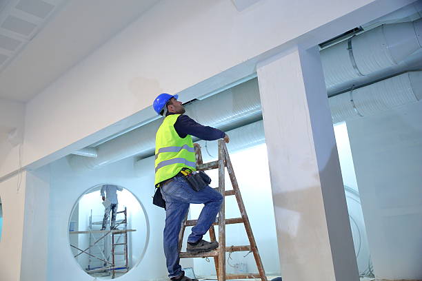 Best Water Damage & Mold Remediation  in Lockport, IL