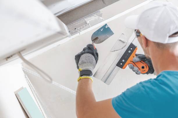  Lockport, IL Mold Removal Pros
